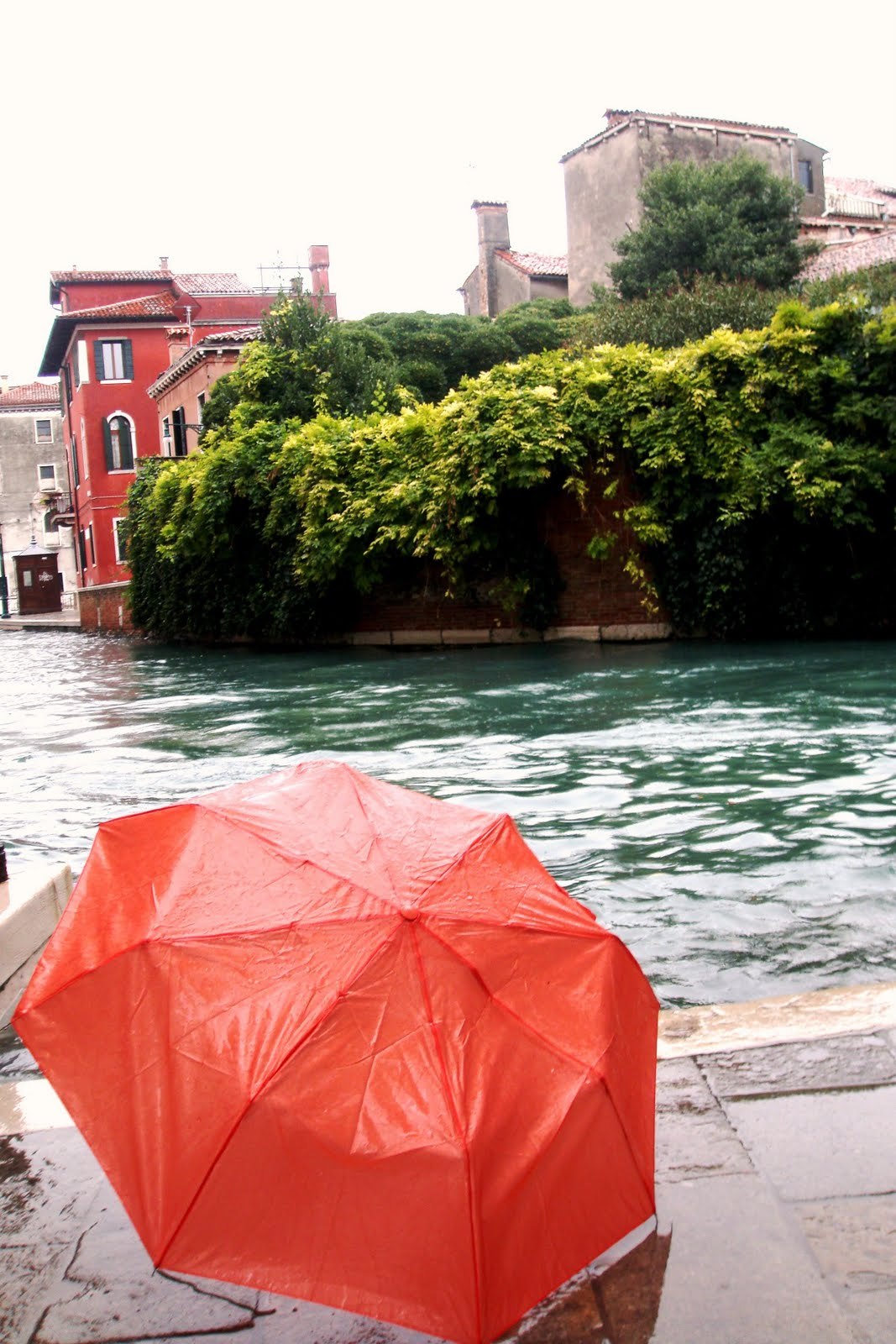 Umbrella in Venice